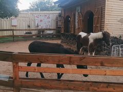 -HERRE·FARM 赫尔露营农场·团建聚会包场