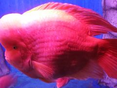 -泉州海丝野生动物世界