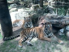 -北京野生动物园