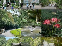 -杭州植物园