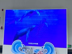 -中国（海南）南海博物馆