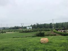 -丹世红酒庄·烧烤·团建·婚礼·水上运动