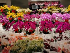 -盒马X会员店(王府井奥莱UP TOWN店)