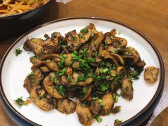 茴香口蘑-薇酌饮·陕西菜(南门外店)