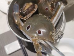 -悦鼎汇海鲜姿造