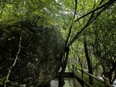 -牛背梁国家森林公园