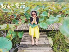 -长兴太湖图影湿地文化园