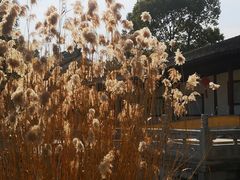 -重元寺香积厨素斋馆