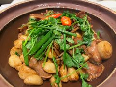 生啫雪花牛舌-顺味凤城(九六广场店)