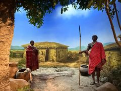 -国家自然博物馆