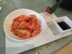 白灼海虎虾-双子楼大酒店(城开国际写字楼店)