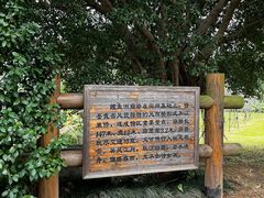 -福建鲤鱼洲酒店