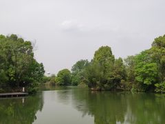 -西溪国家湿地公园