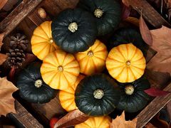 -陈记柳州螺蛳粉(大坪店)