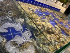 -铂丽斯国际大酒店-凯悦自助餐厅