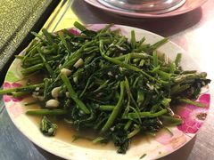 飞天通菜-泰国华泰地产