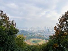 -八卦田遗址公园