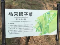 -金银湖国家城市湿地公园