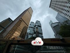 -Big Bus Tours 敞篷观光巴士