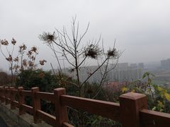 -杭州半山国家森林公园