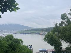 -铁山坪森林公园