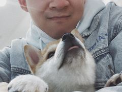 -柴源莊·柴小宠柴犬咖啡