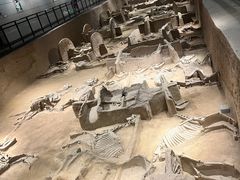 -洛阳周王城天子驾六博物馆