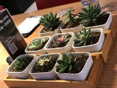 -必胜客(花舞大唐博物馆店)