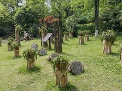 -南山植物园