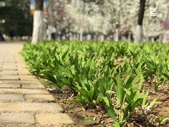 -济南植物园