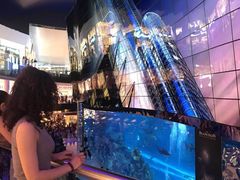 -迪拜水族馆及水下动物园