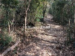 -东钱湖旅游度假区