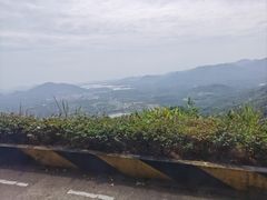 -呀诺达热带雨林