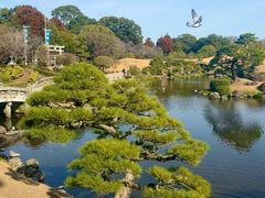 -水前寺成趣园