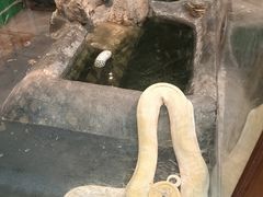 -上海大自然野生昆虫馆(东方明珠·爬宠昆虫探索中心)