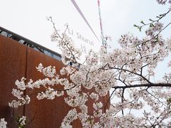 -龙美术馆(西岸馆)
