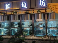 -老船舫·现做活鲜鱼馆(东郊记忆店)