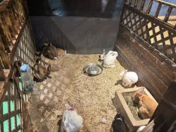 -酷嗒动物文化乐园(cutezoo西溪乐天城店)