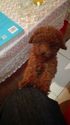 android_upload_pic-构想时尚发型会所