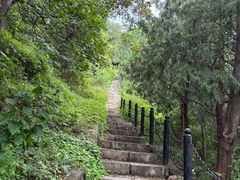 -北京十三陵国家森林公园蟒山景区
