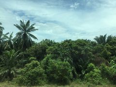 -吉隆坡国际机场