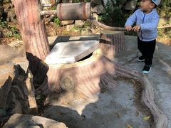 -石老人观光园