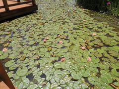 -凤凰沟景区