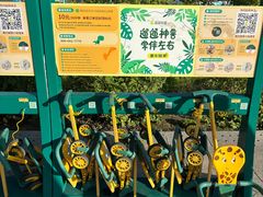 -鄂尔多斯野生动物园