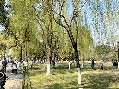 -柳浪闻莺公园