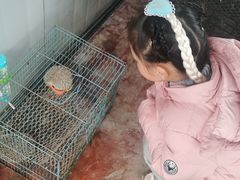 -宁波九龙湖开元度假村