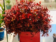 -东海海鲜酒家(流花店)