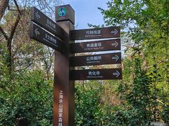 -上海佘山国家森林公园西佘山园