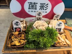 -菌彩云南野生菌火锅(新亚洲店)