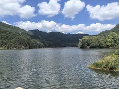 -黔灵山公园